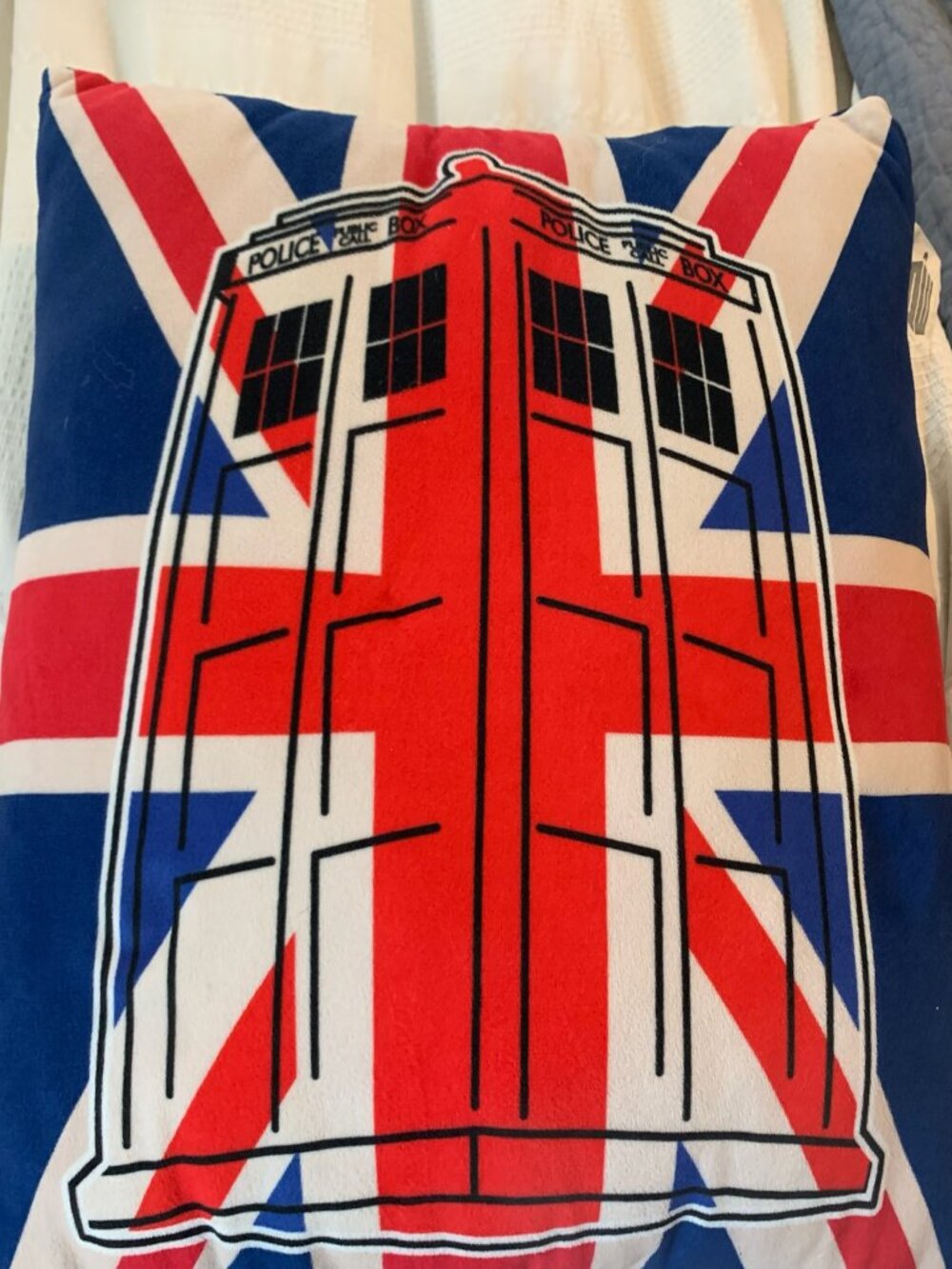Tardis decorative pillow
